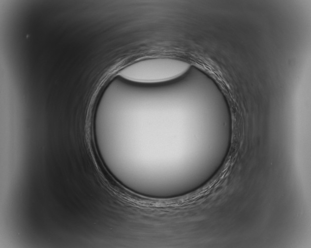 X0000098160003200804171228