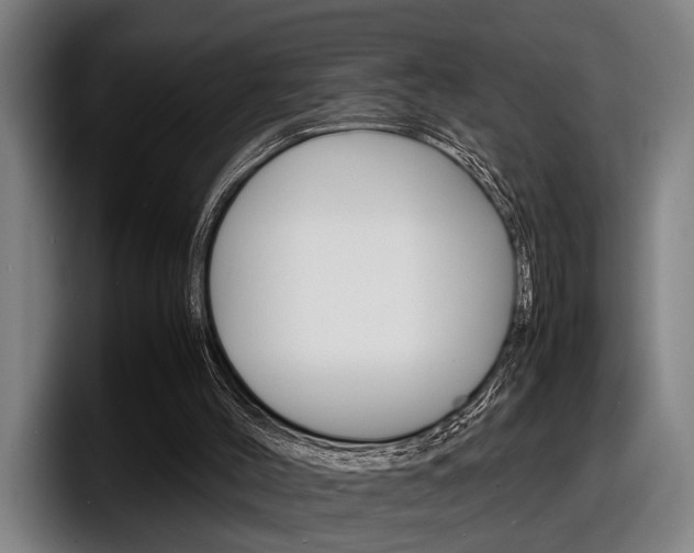 X0000098160004200804171228