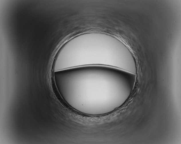 X0000098160007200804171228