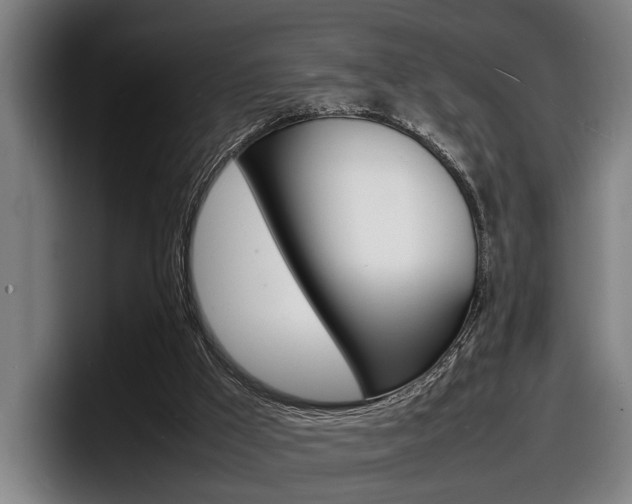 X0000098160009200804171228