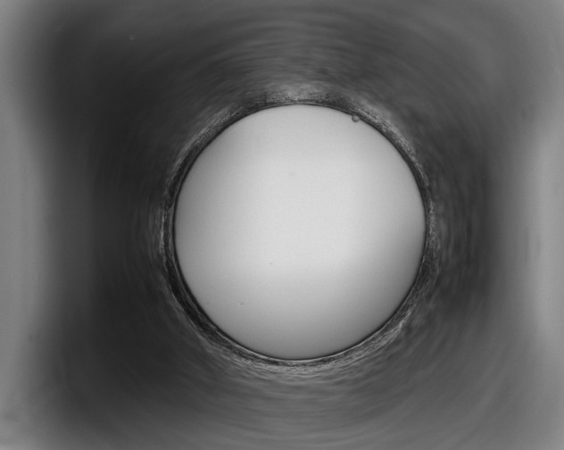 X0000098160010200804171228