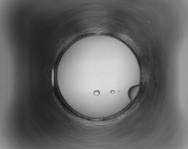 X0000098160014200804171228
