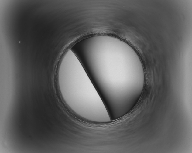 X0000098160015200804171228