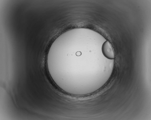 X0000098160018200804171227