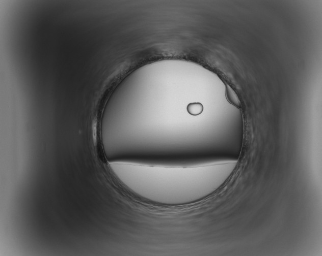 X0000098160019200804171227
