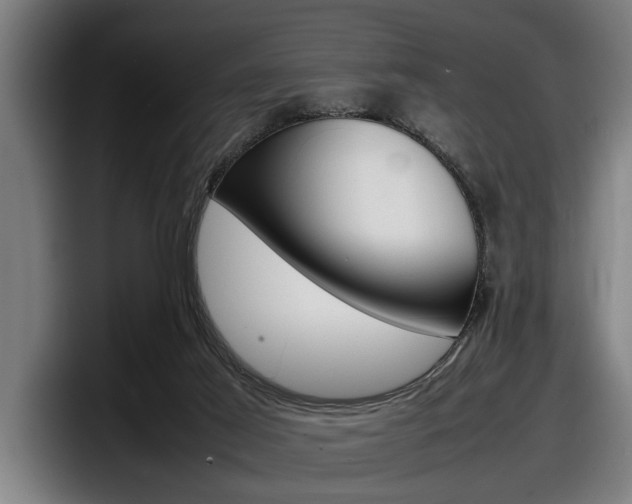 X0000098160021200804171227