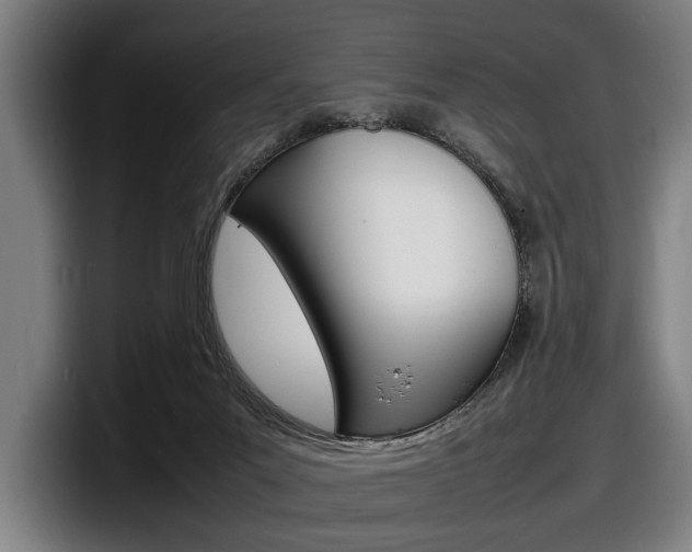 X0000098160023200804171227