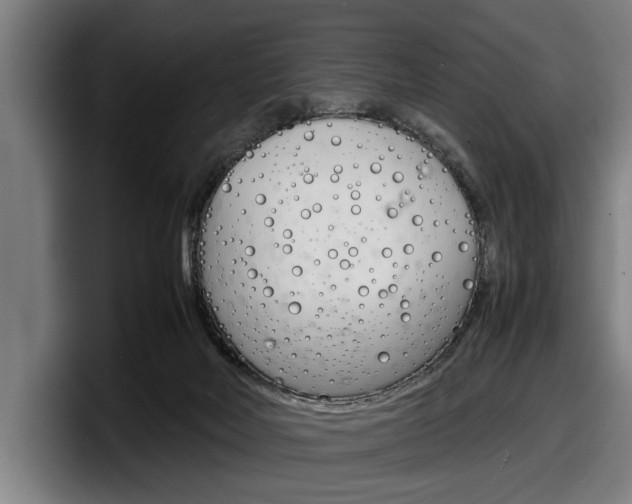 X0000098160026200804171227