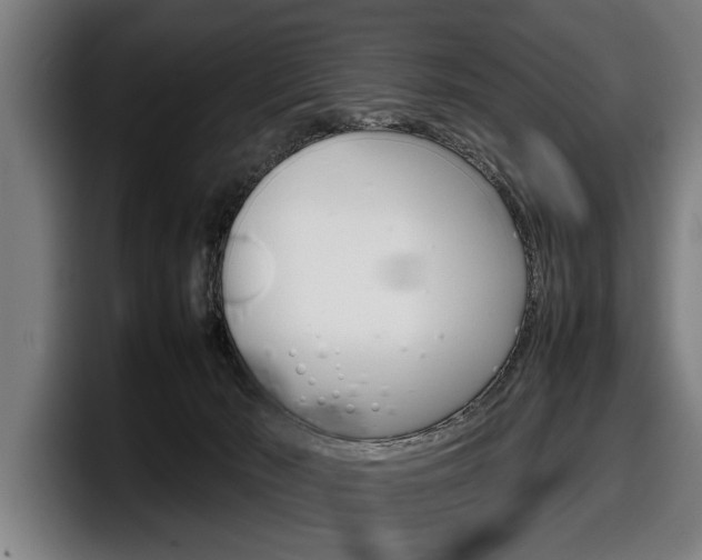 X0000098160030200804171227