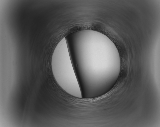 X0000098160037200804171227