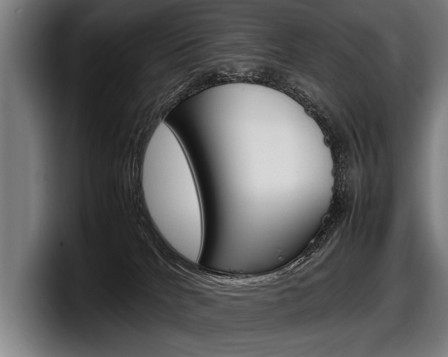 X0000098160040200804171227