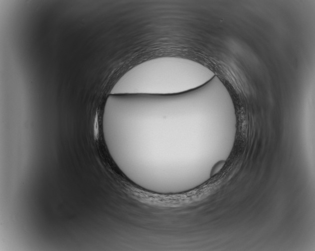 X0000098160042200804171227