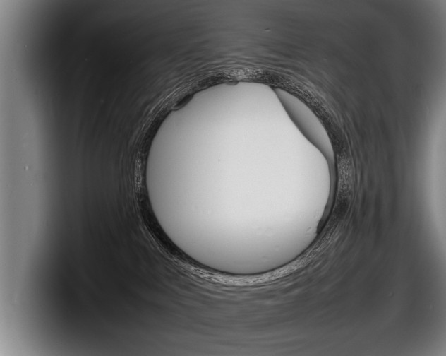 X0000098160043200804171227