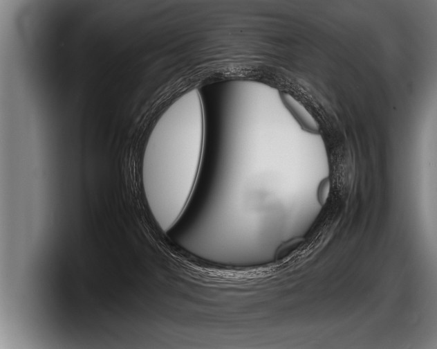 X0000098160044200804171227