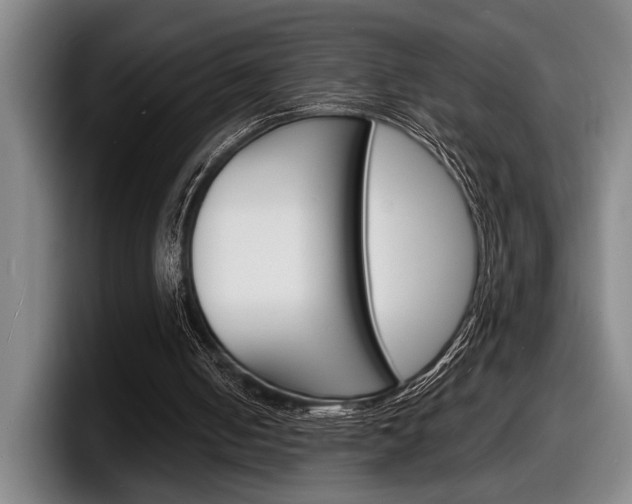X0000098160050200804171226