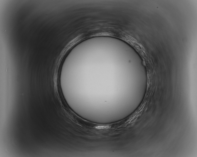 X0000098160051200804171226