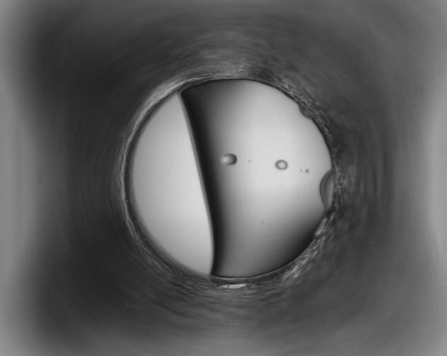 X0000098160054200804171226