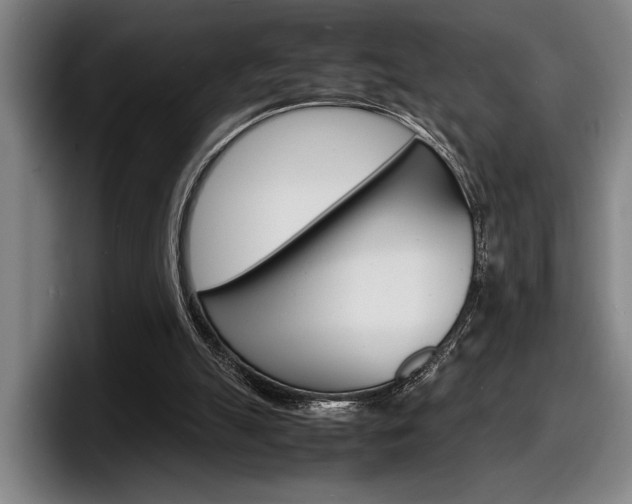 X0000098160055200804171226