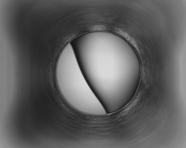 X0000098160057200804171226
