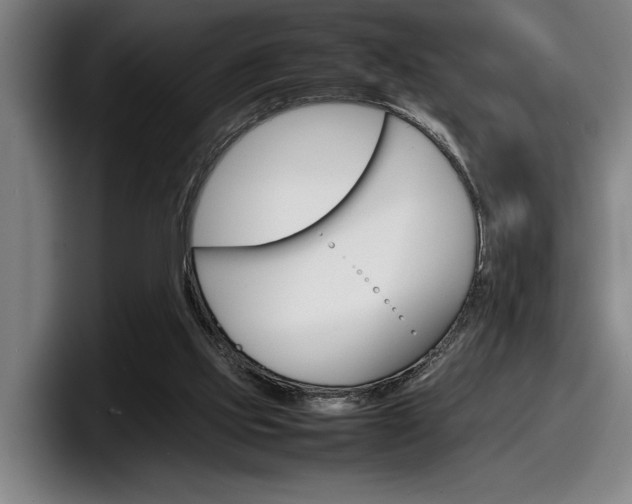 X0000098160061200804171227