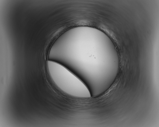 X0000098160062200804171227