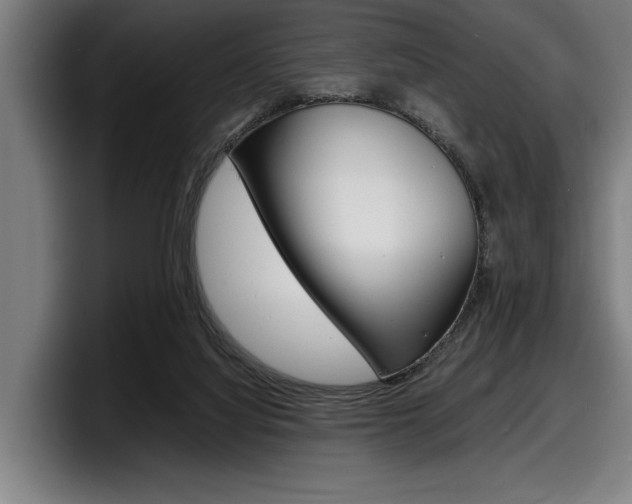 X0000098160068200804171227