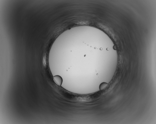 X0000098160069200804171227