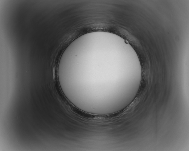 X0000098160070200804171227