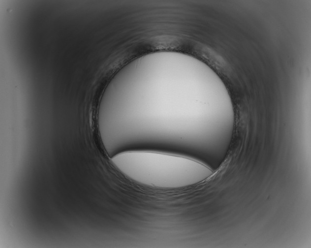 X0000098160074200804171227