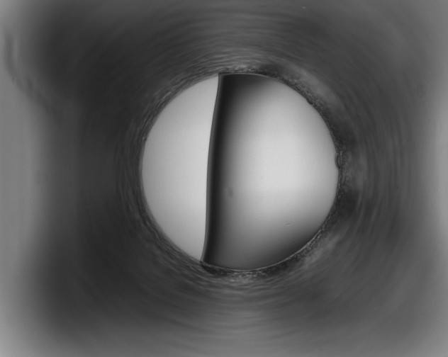 X0000098160076200804171227