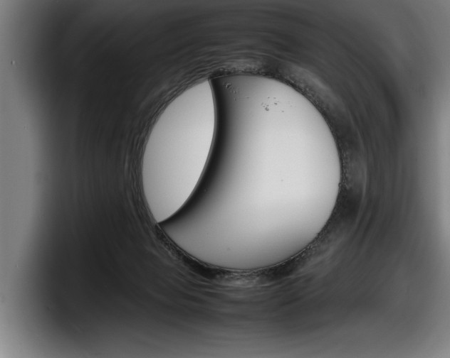 X0000098160077200804171227