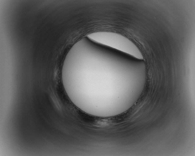 X0000098160079200804171227