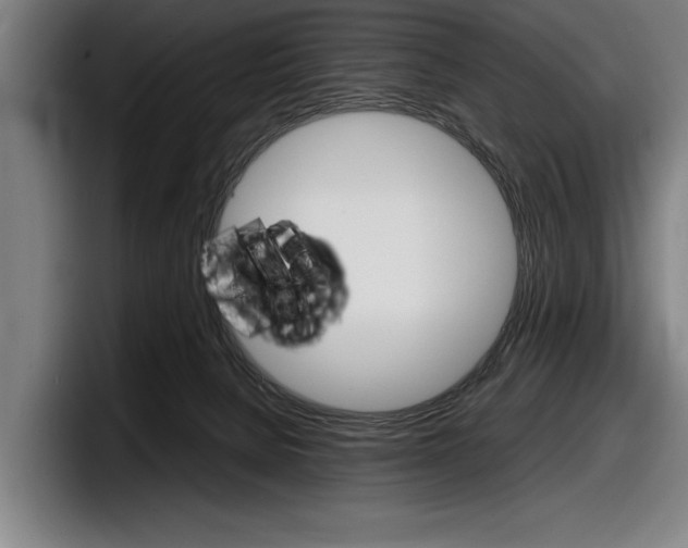 X0000098160080200804171227