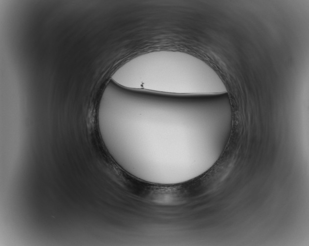 X0000098160081200804171227