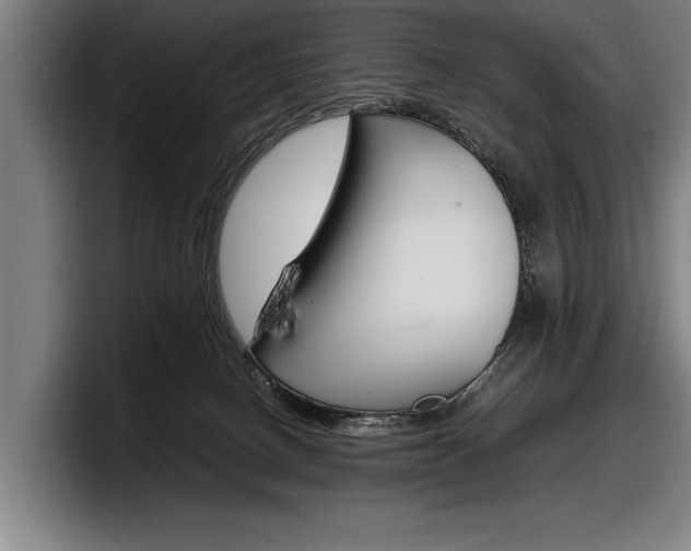 X0000098160082200804171227