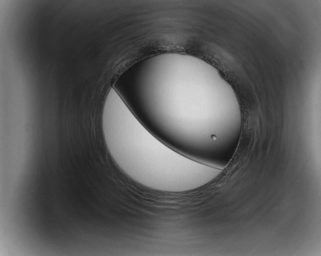 X0000098160084200804171227