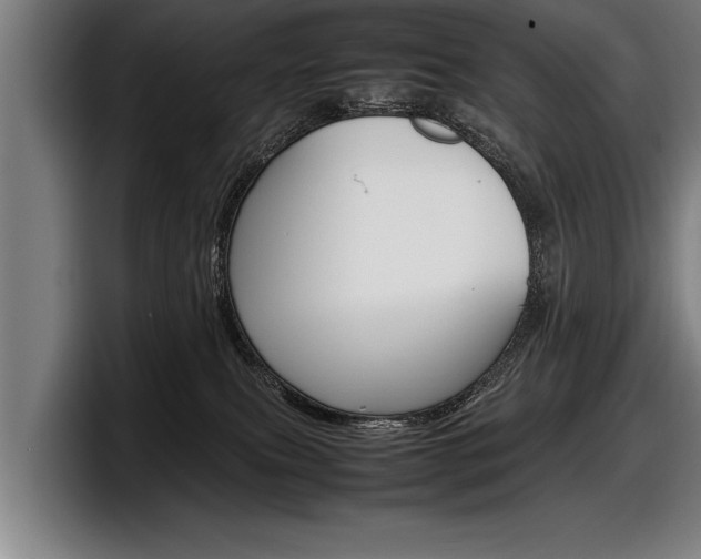 X0000098160087200804171227