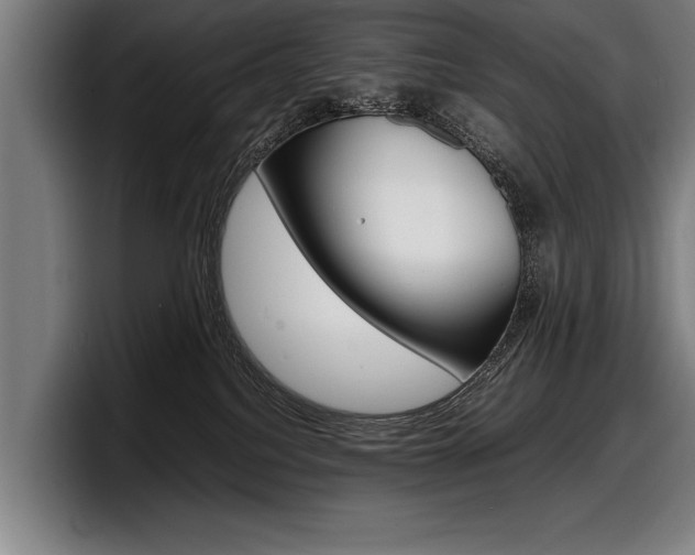 X0000098160088200804171227
