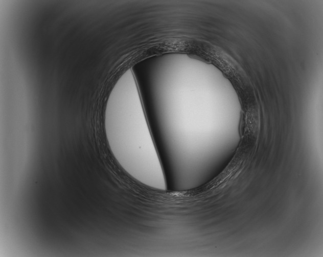 X0000098160092200804171227