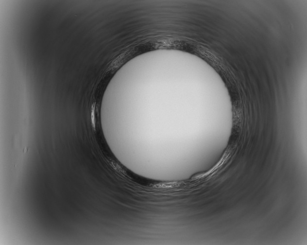 X0000098160094200804171227