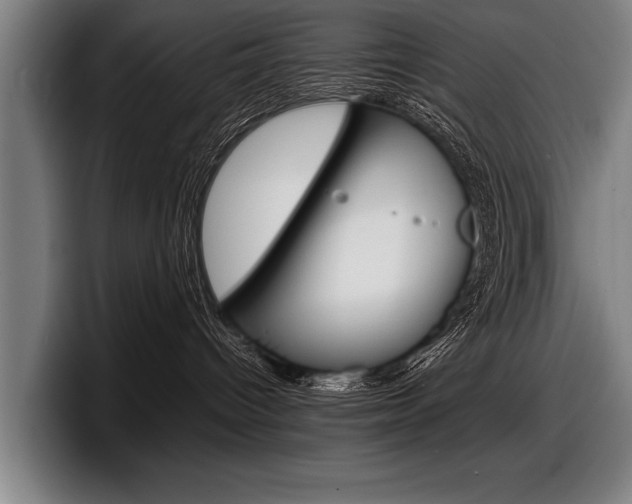 X0000098160096200804171227