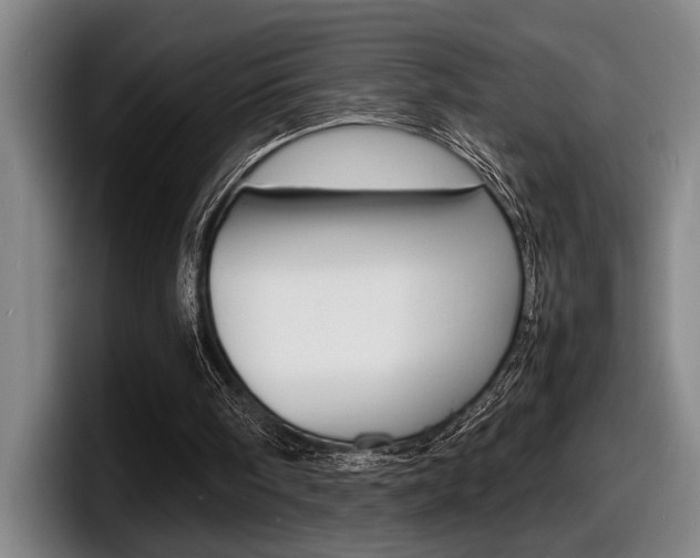 X0000098160098200804171226