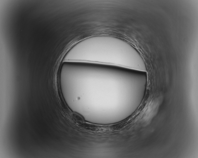 X0000098160099200804171226