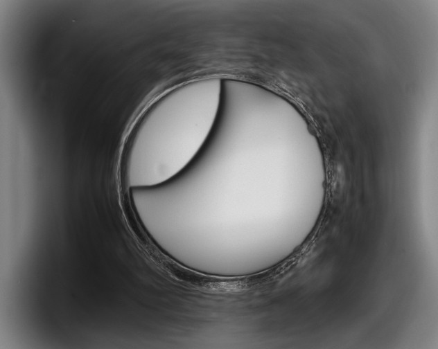 X0000098160102200804171226