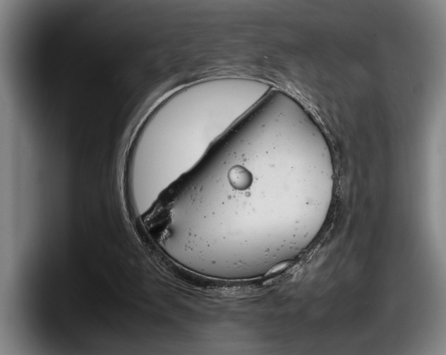 X0000098160103200804171226