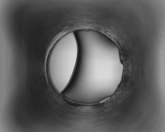 X0000098160104200804171226