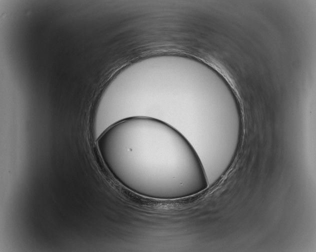 X0000098160105200804171226