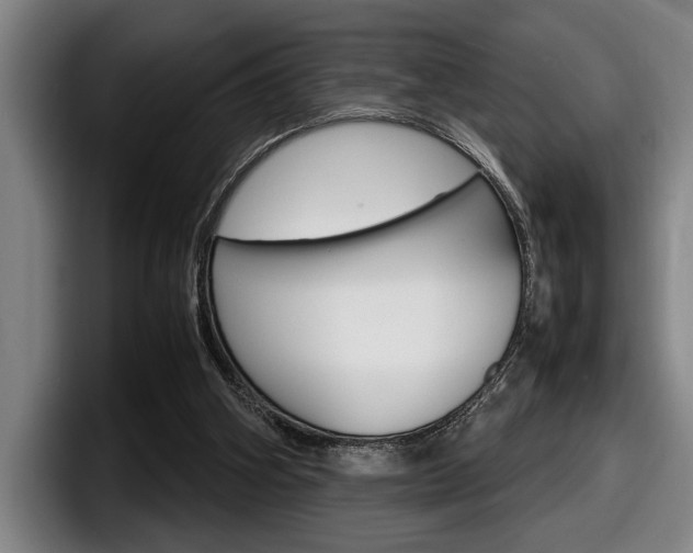 X0000098160106200804171226