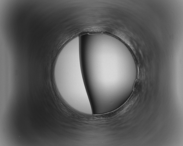 X0000098160109200804171226