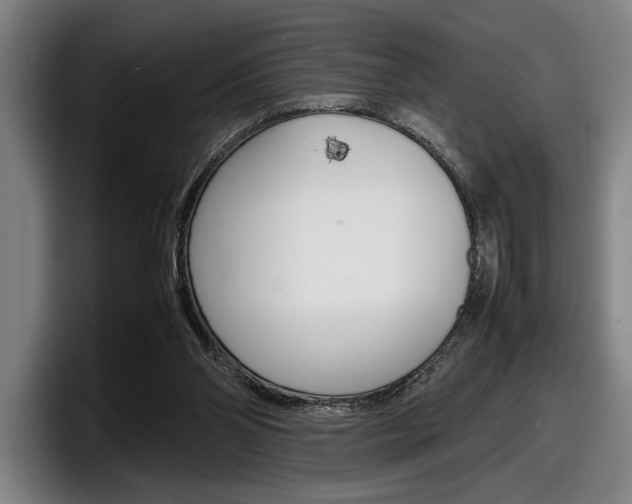 X0000098160110200804171226